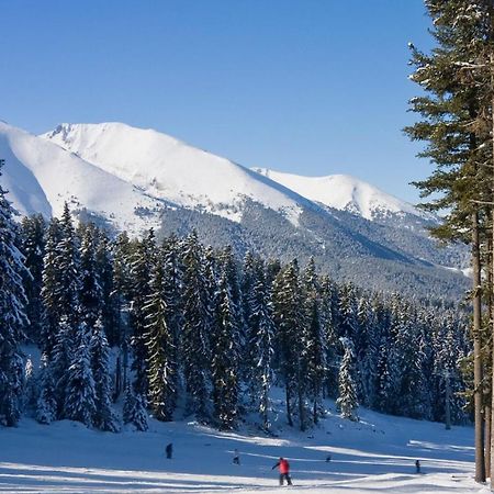 Skiing, Walking, Enjoying In Mountains Bansko Exteriér fotografie