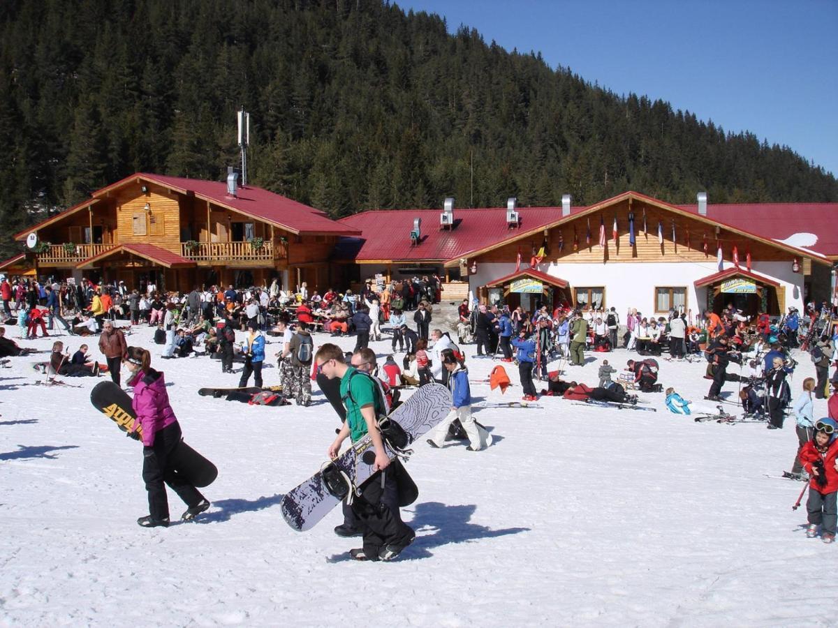 Skiing, Walking, Enjoying In Mountains Bansko Exteriér fotografie