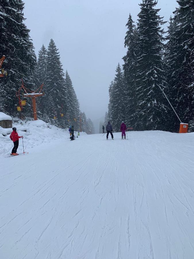 Skiing, Walking, Enjoying In Mountains Bansko Exteriér fotografie