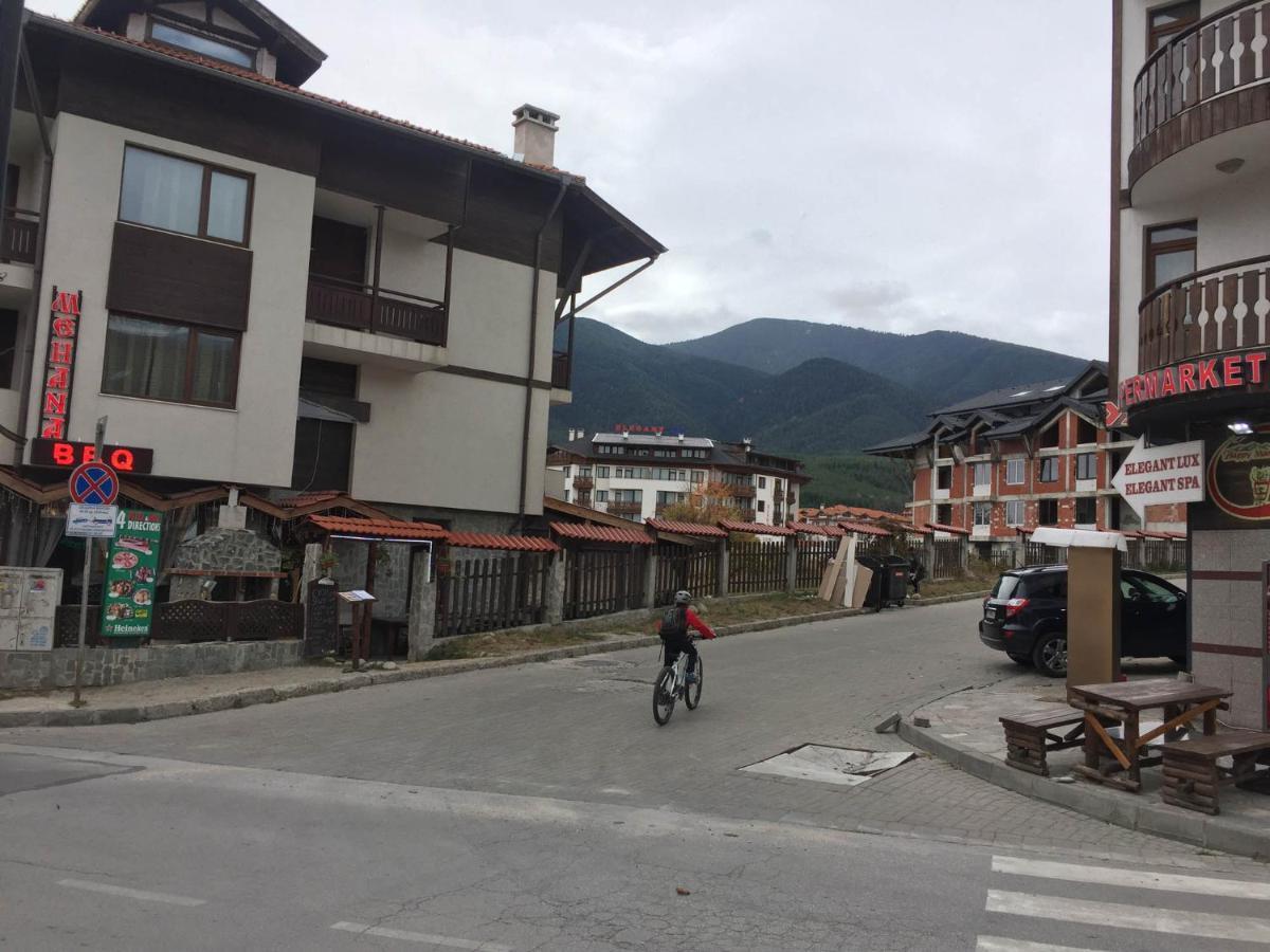 Skiing, Walking, Enjoying In Mountains Bansko Exteriér fotografie